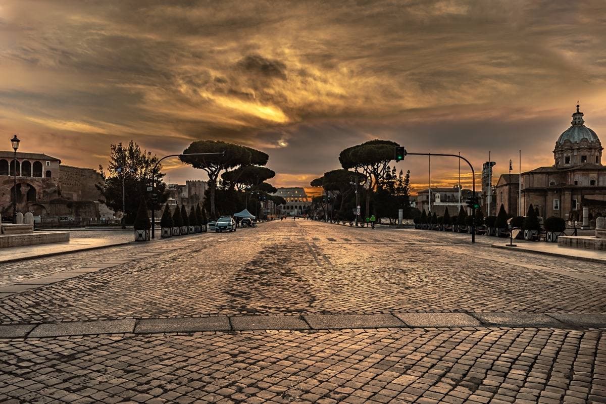 A wide cobbled avenue at dawn with umbrella pines and the Colosseum in the distance