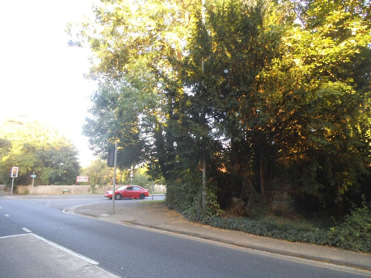 A suburban road junction under trees