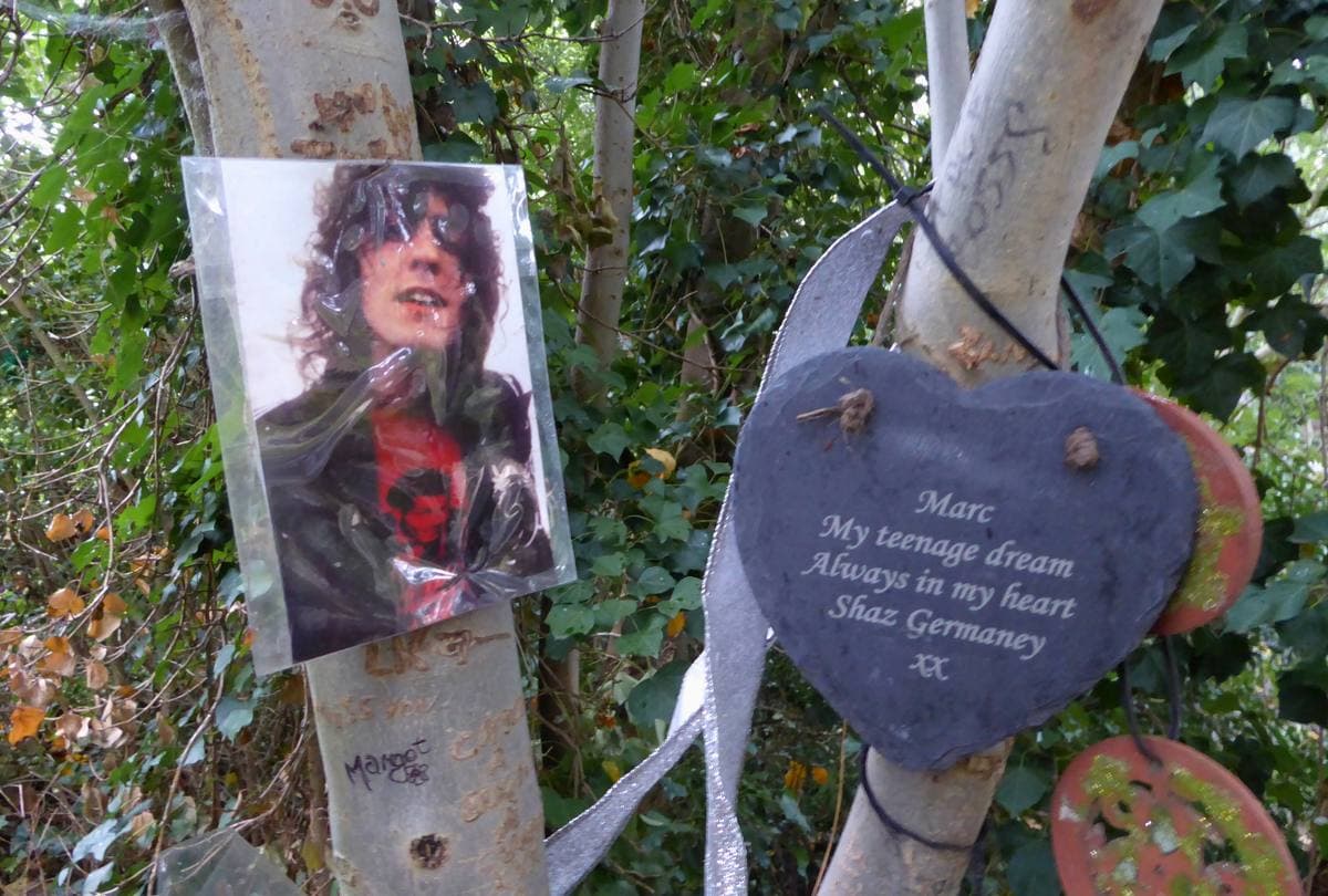 Ribbons, photographs and small decorations tied to a tree