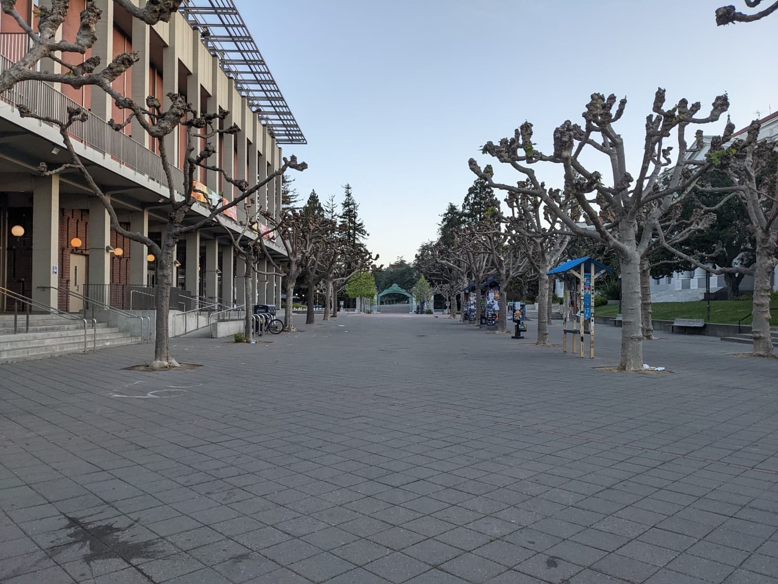 A wide empty paved plaza lined with clipped trees
