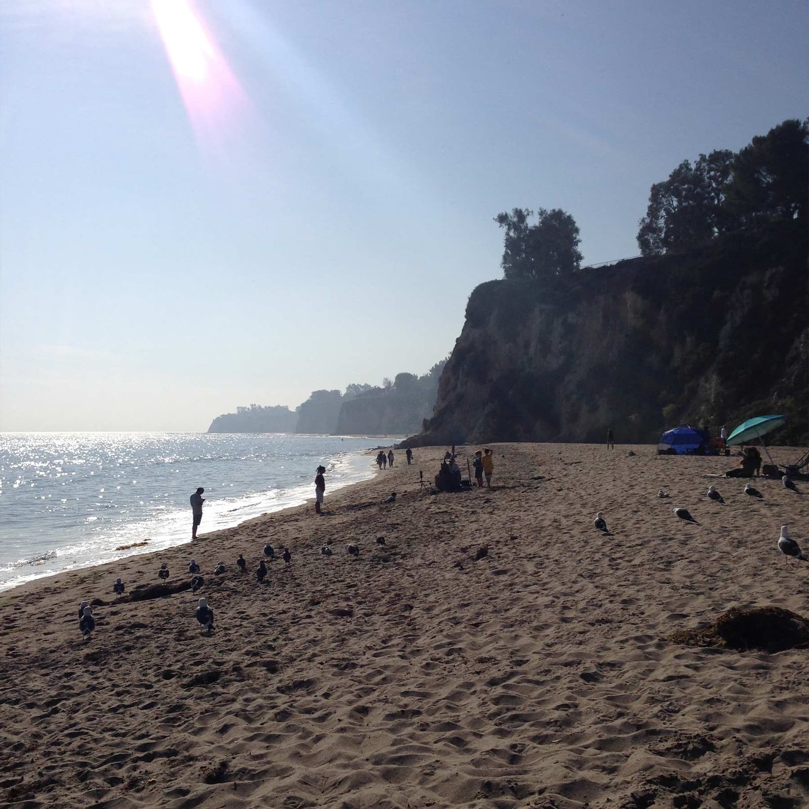 A curving sandy cove under a dark headland, the sea bright in low morning sun