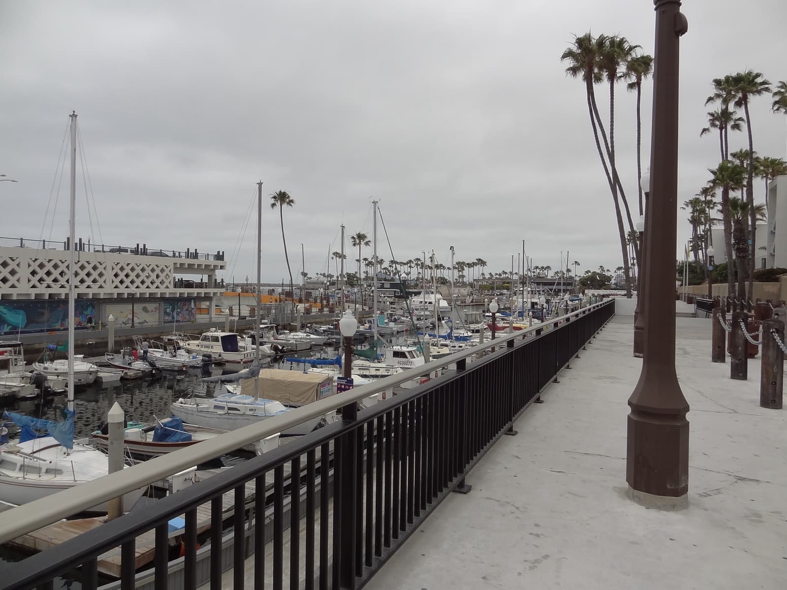 Boats moored in a marina beside a palm-lined path, the pier beyond under a grey sky