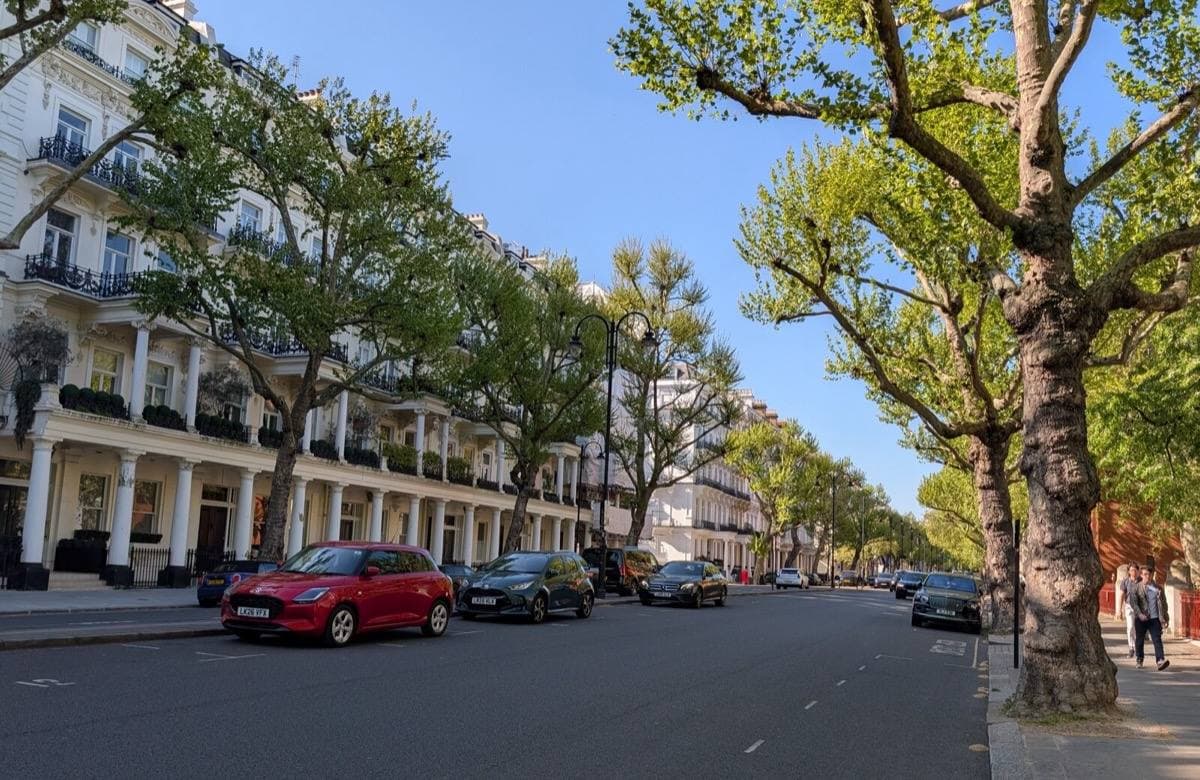 A wide tree-lined London street of white stucco terraces with parked cars