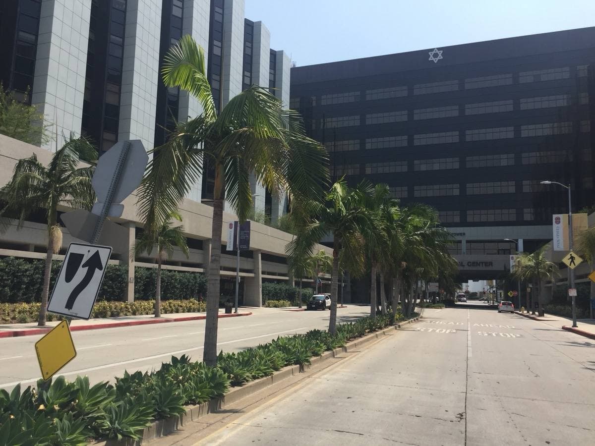 A palm-lined street between tall hospital buildings in sunshine