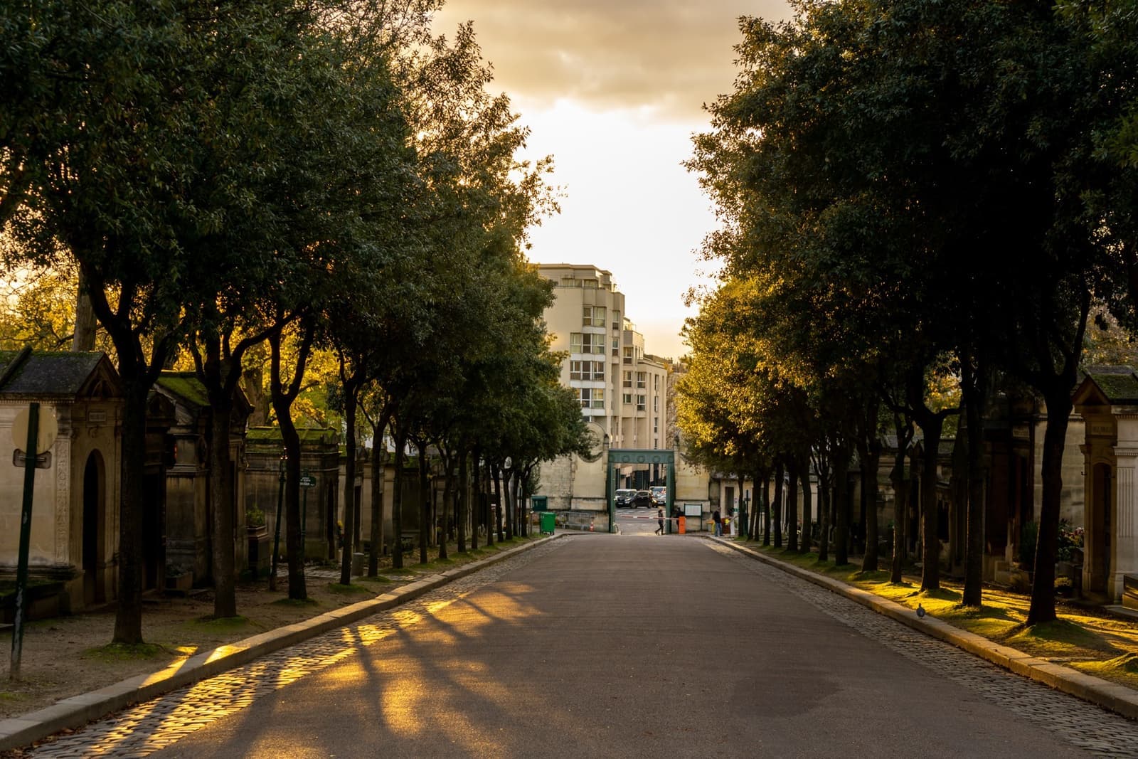 A cobbled avenue between old tombs and autumn trees in low sun