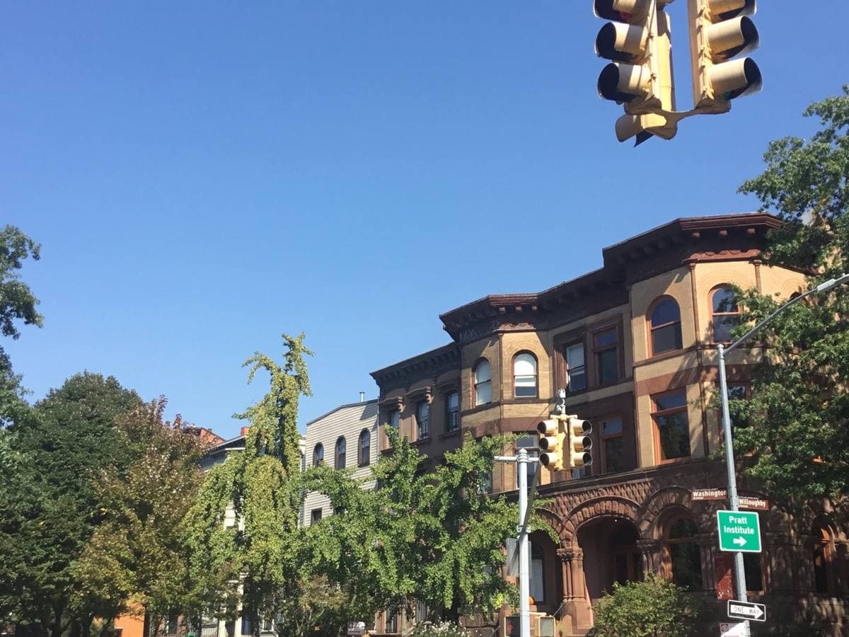 Brownstone row houses behind trees with traffic lights and a green street sign, Clinton Hill