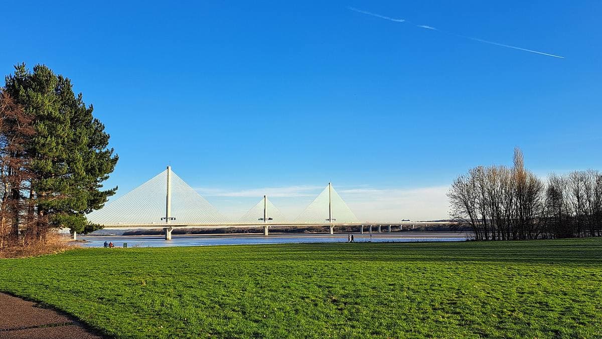 A wide green field under a blue sky, a white cable-stayed bridge across the river behind a line of trees