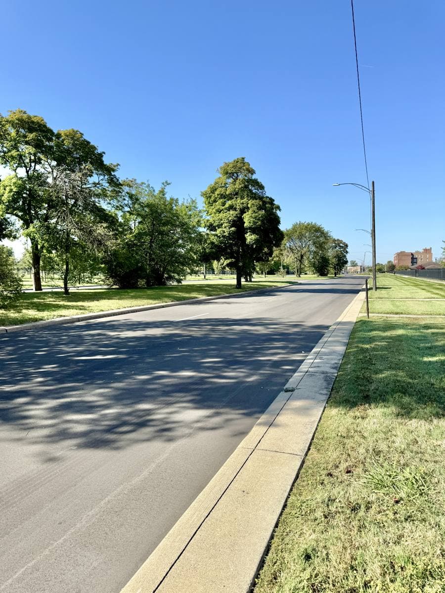 A tree-lined residential boulevard on Detroit's west side