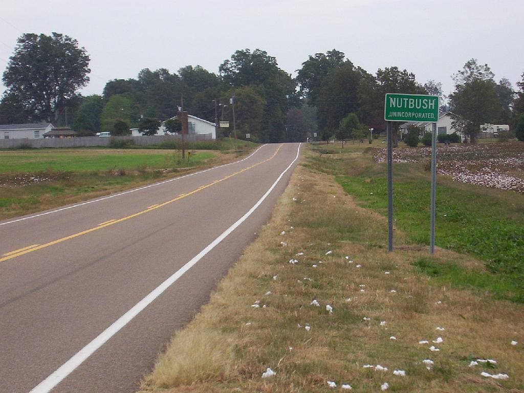 A green Nutbush road sign beside a straight two-lane road through flat fields