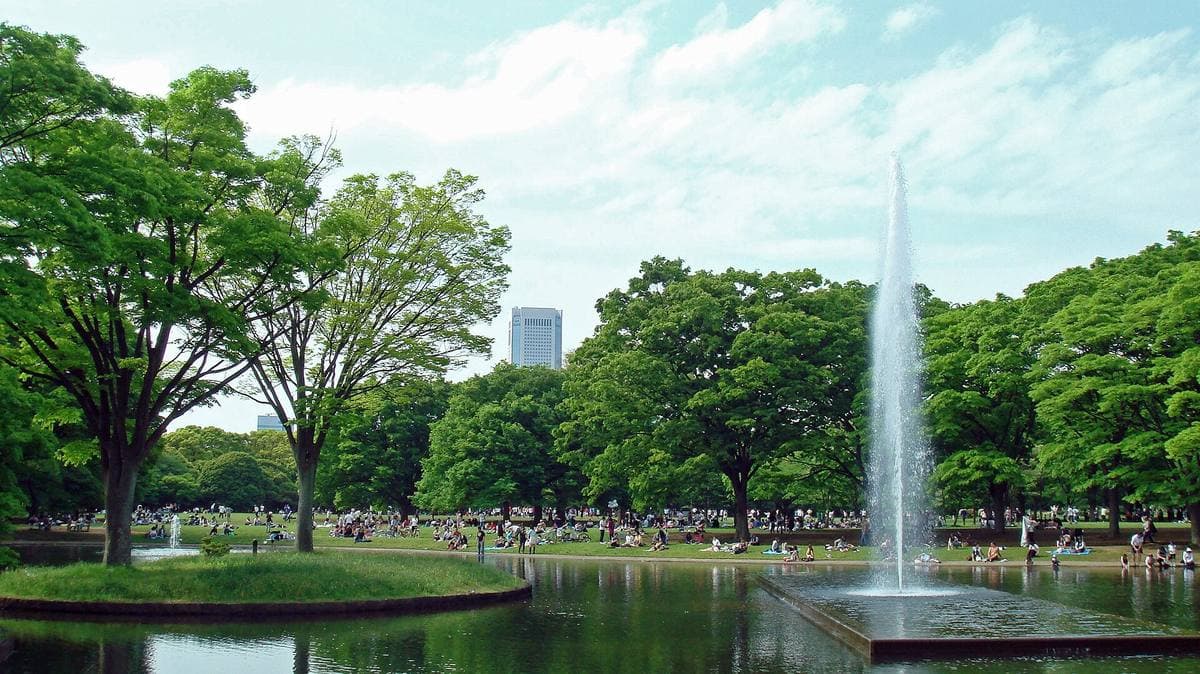 A tall fountain jet in a pond surrounded by green trees and lawns
