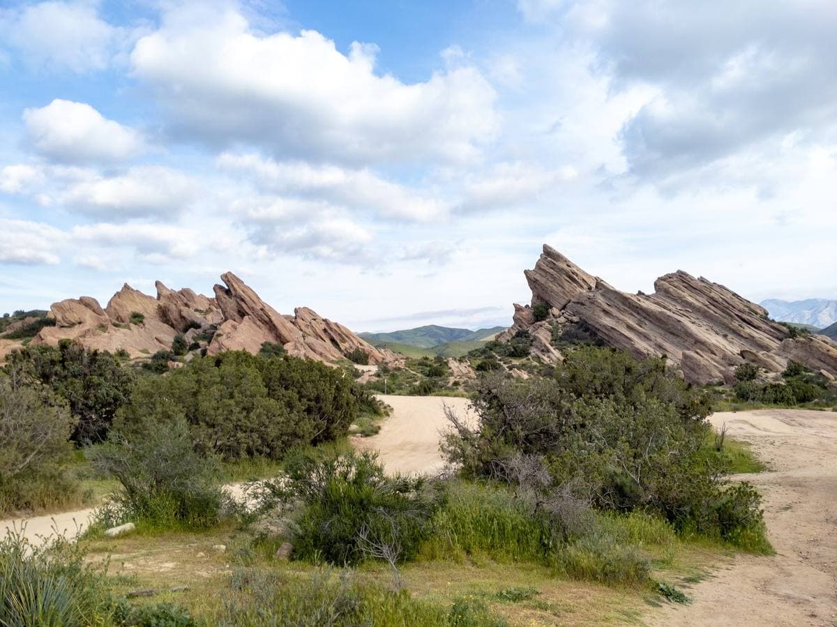 Tilted sandstone slabs above green scrub and spring flowers under a blue sky