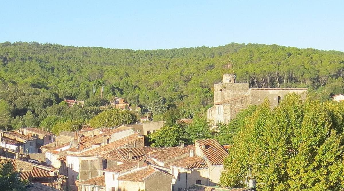 Terracotta roofs of a Provençal village and a square stone tower among plane trees, wooded hills behind