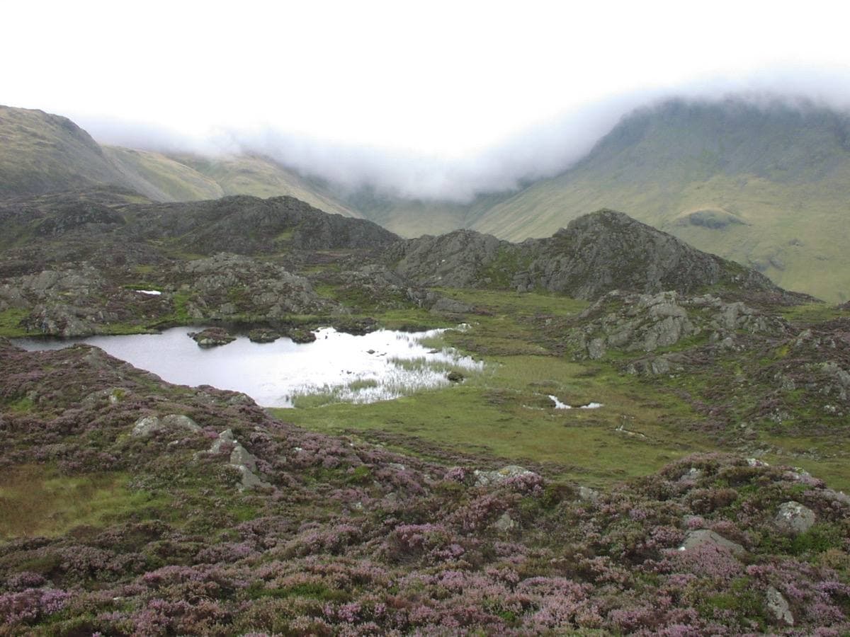 A small mountain tarn with rocky islets below the summit of Haystacks