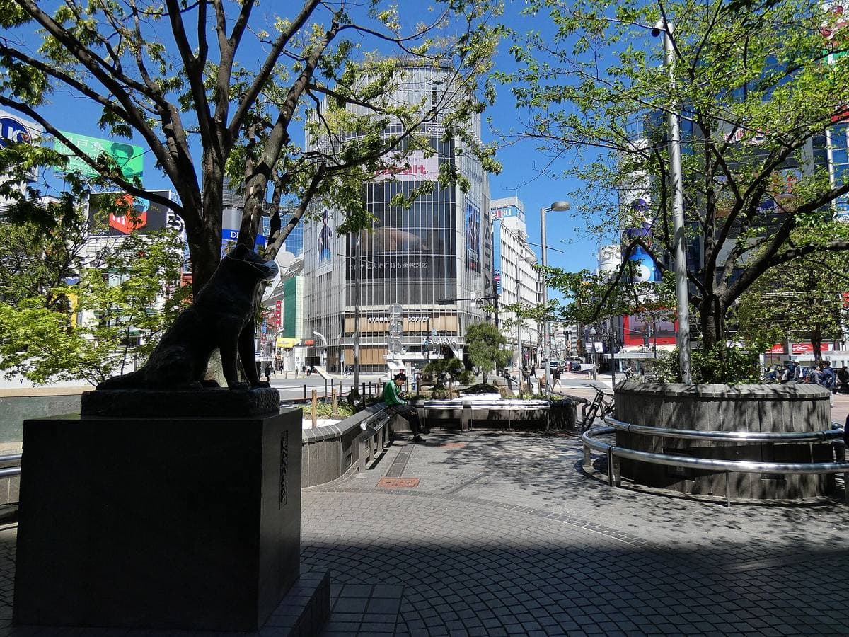 The bronze statue of the dog Hachikō on its plinth beside an empty square