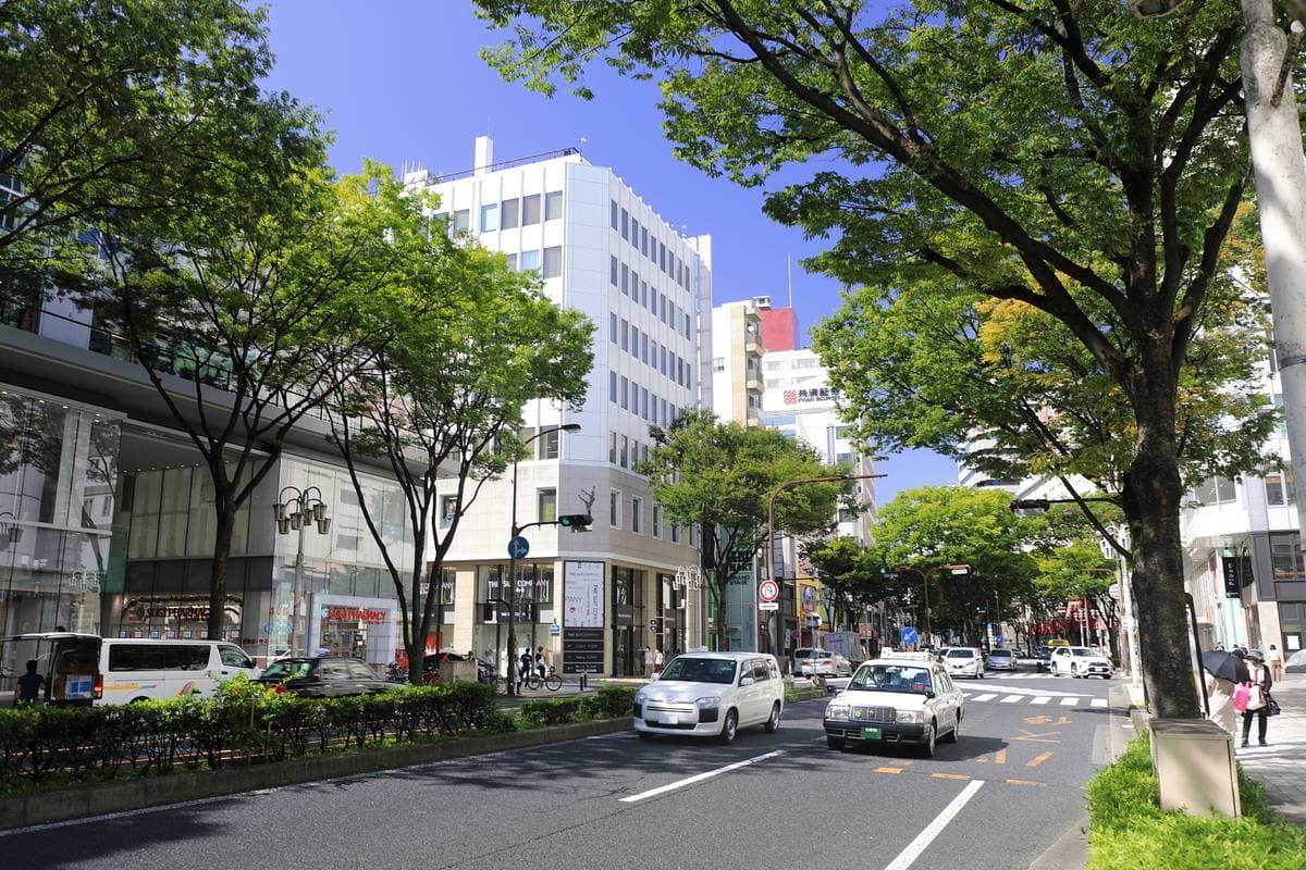 A tree-lined avenue in Sakae, Nagoya, with cars and low office blocks