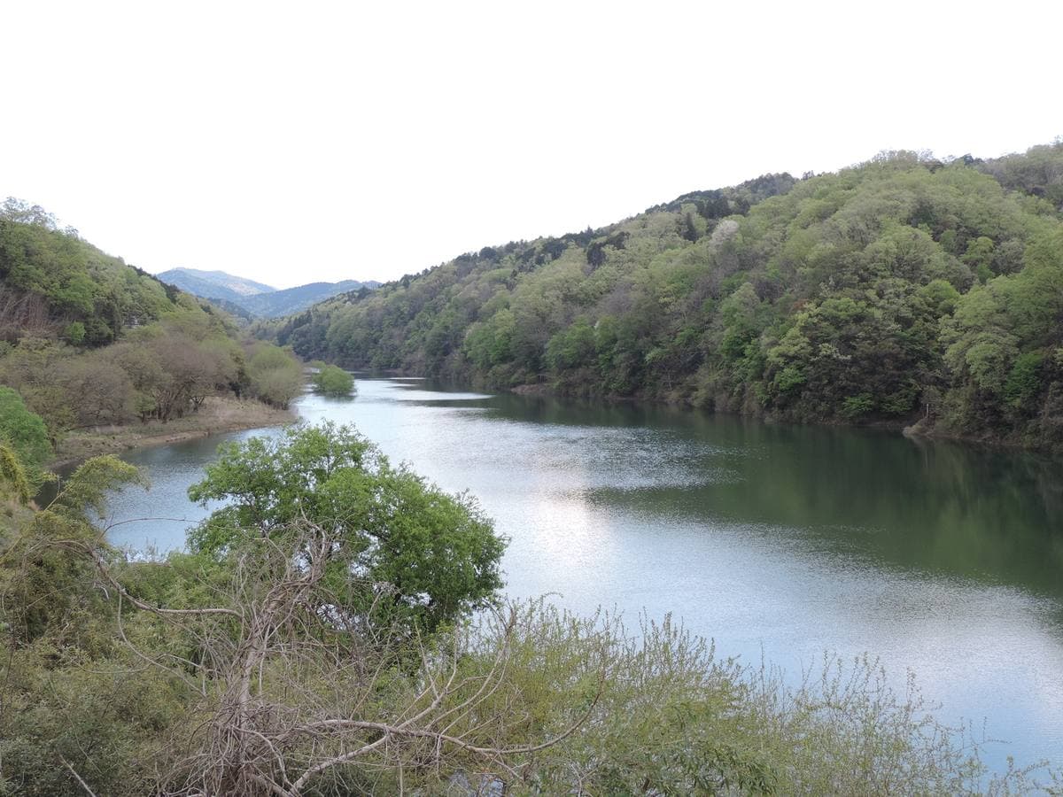 A calm river between green wooded hills