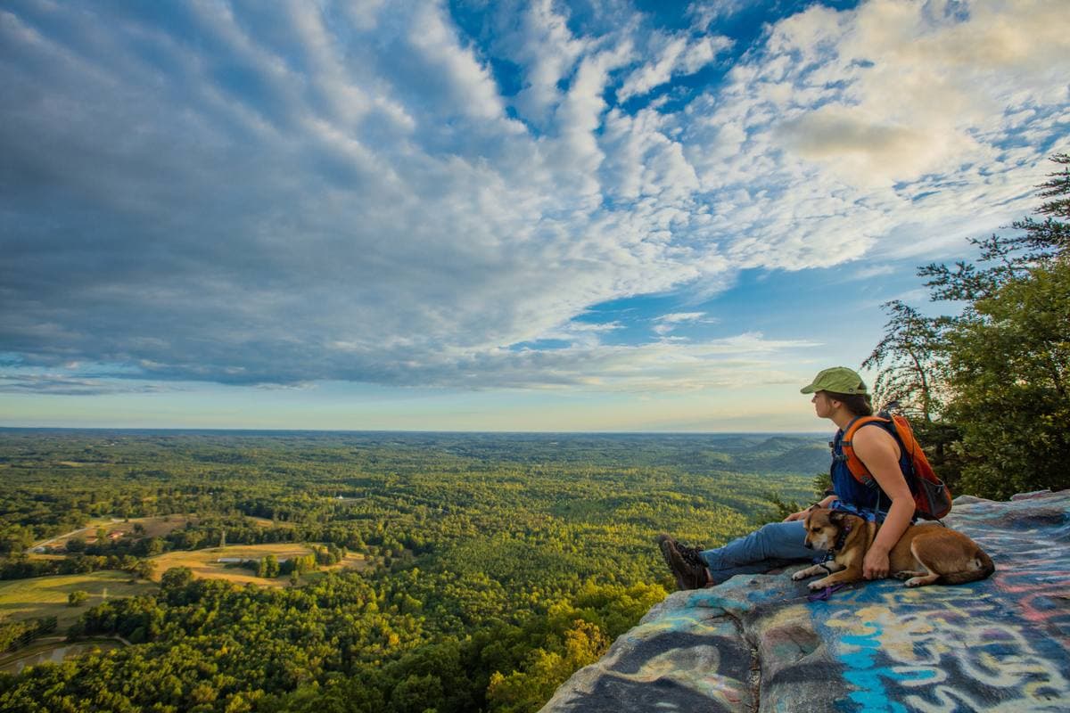 The view from the top of Currahee over wooded hills