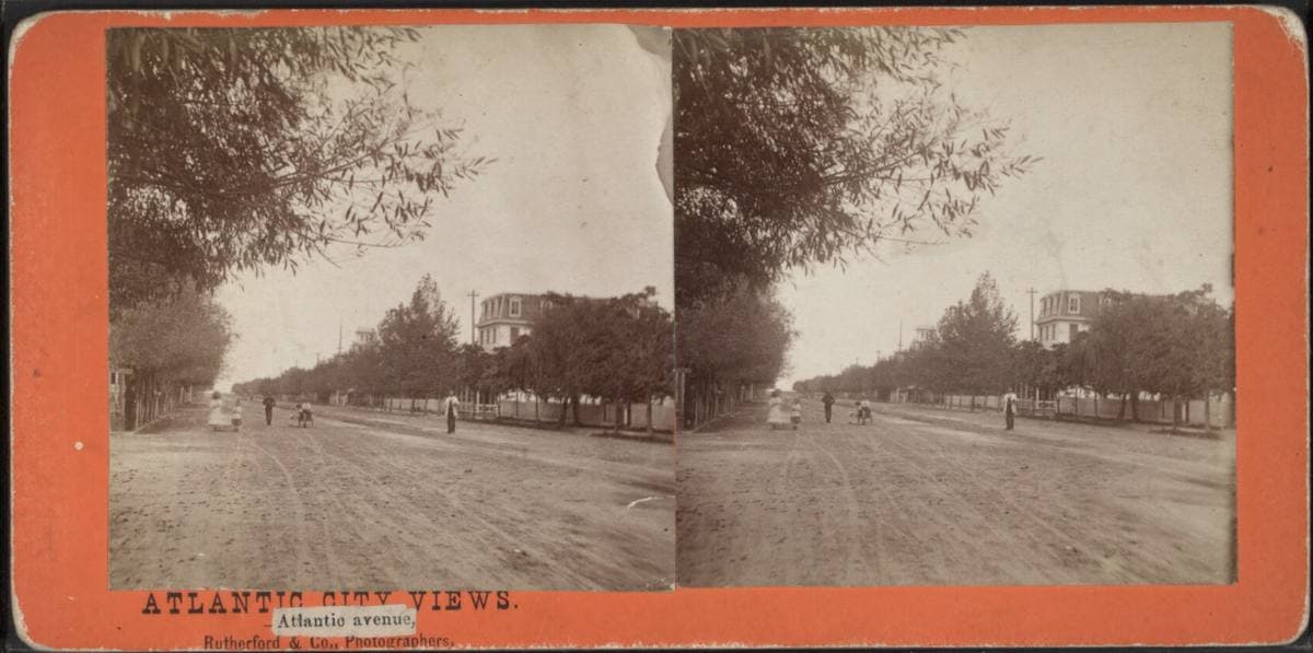 An orange stereograph card with two views of a wide, unpaved avenue lined with trees