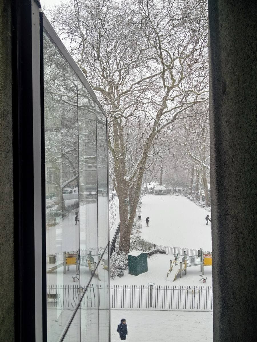 Snow falling over the trees of a Bloomsbury garden square