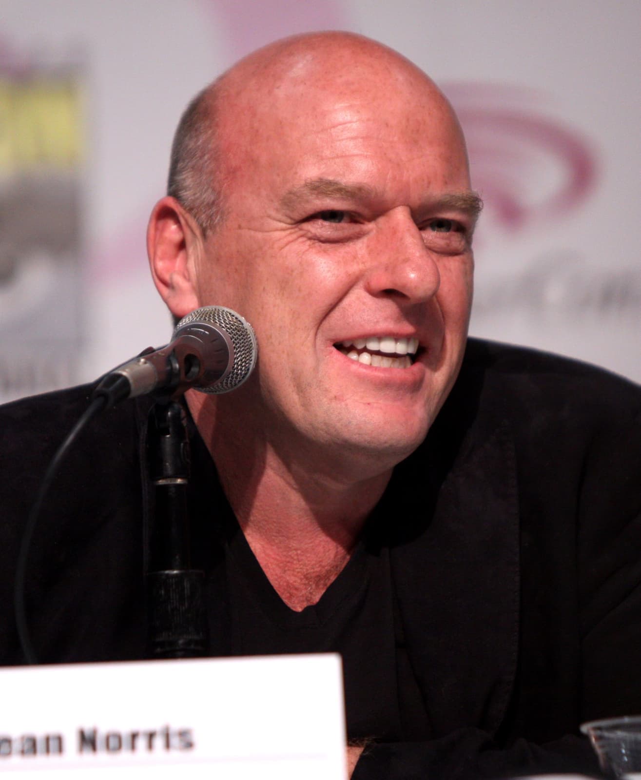 Dean Norris speaking on a panel