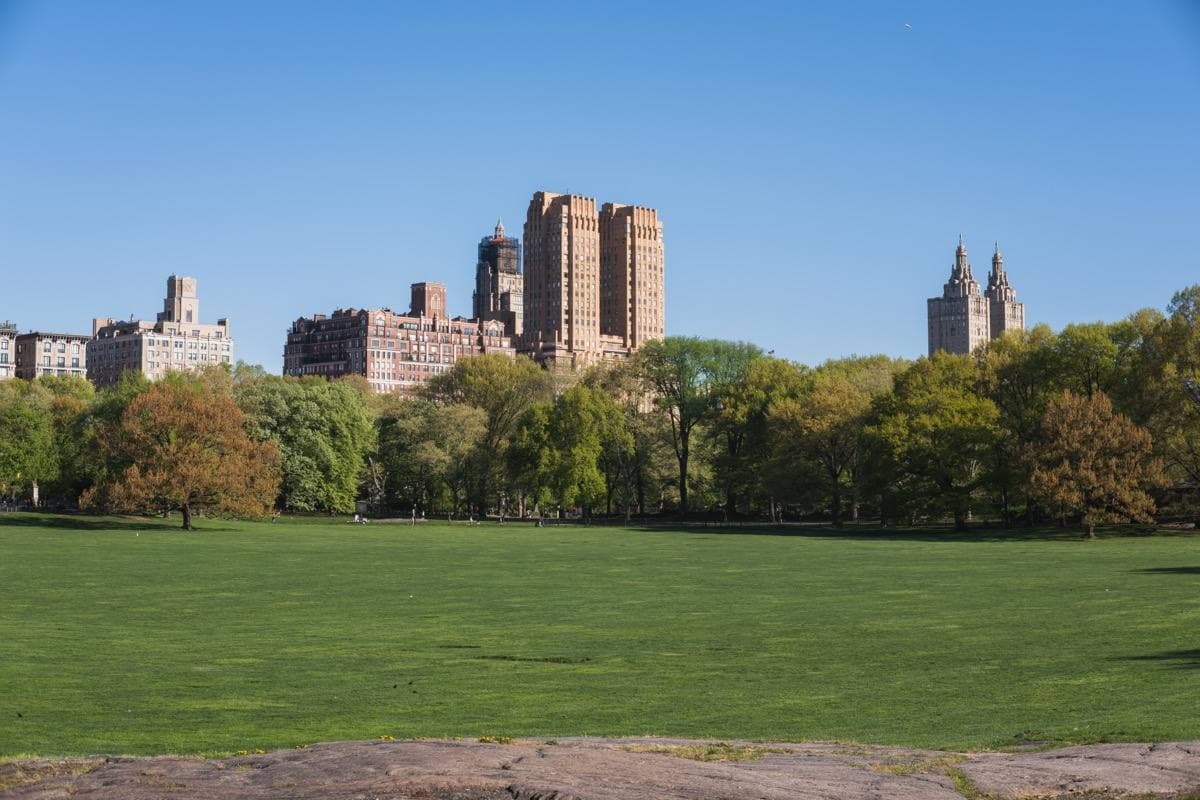 A wide green lawn with trees and apartment towers beyond