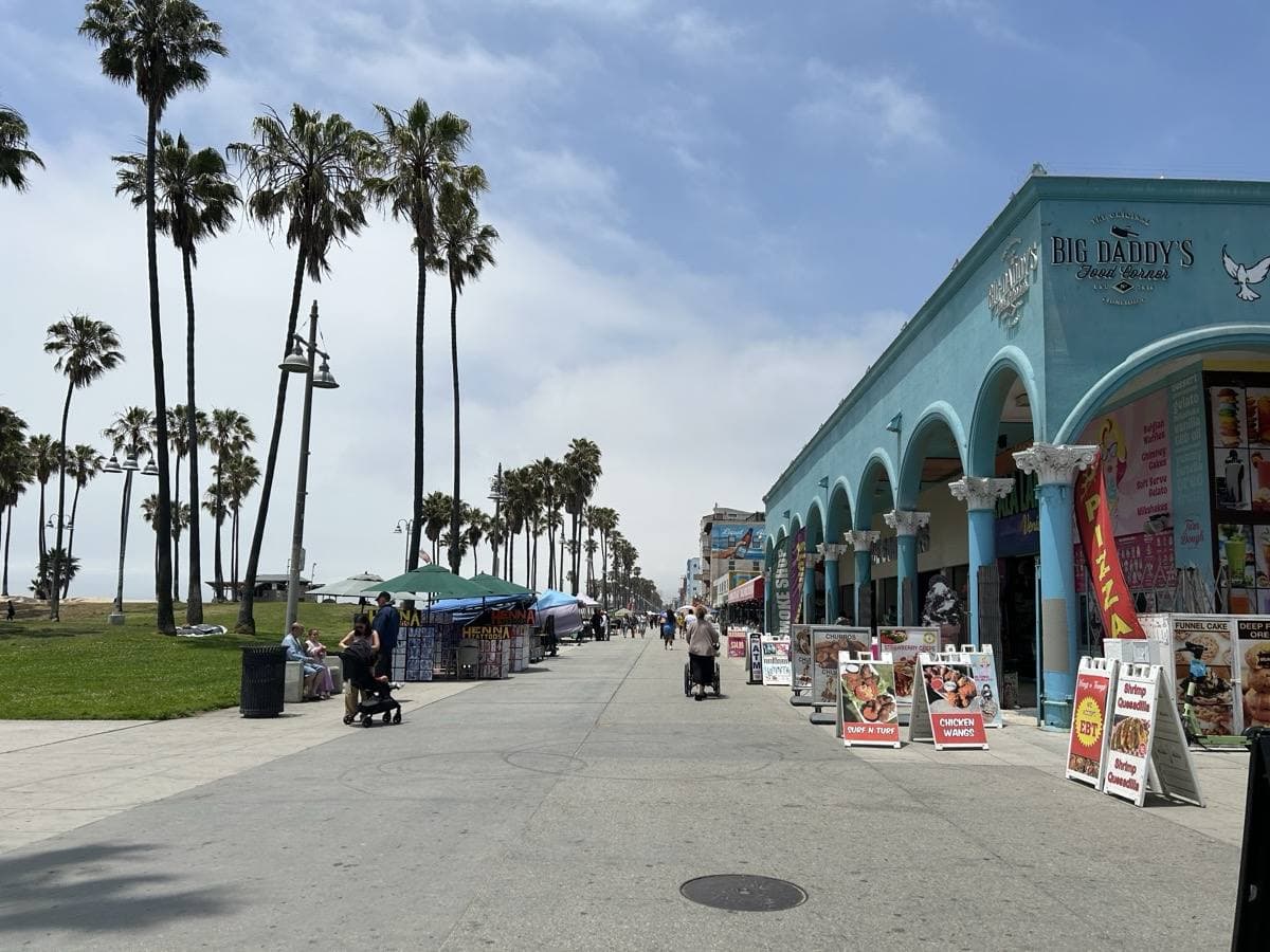 A wide paved boardwalk lined with palms and shopfronts under blue sky