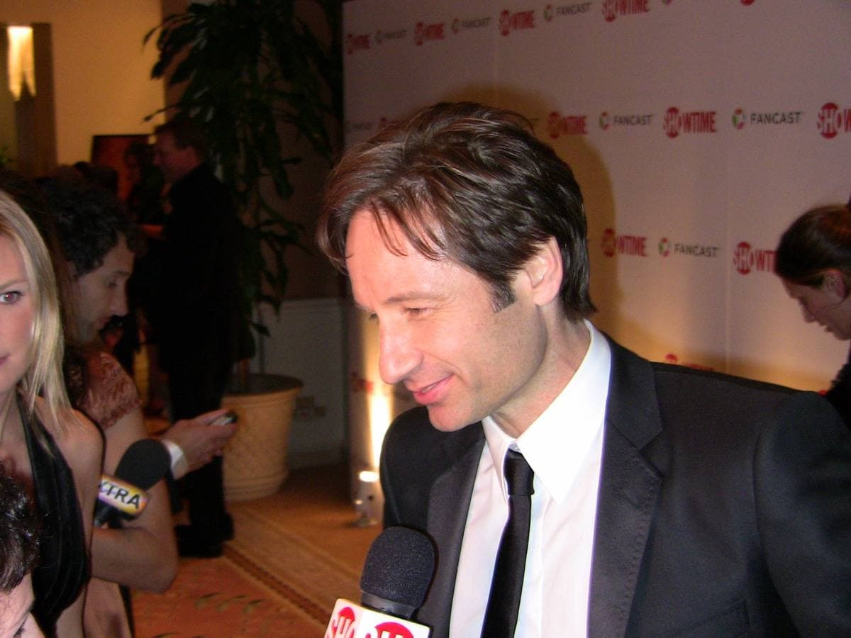 David Duchovny in a dark suit at an evening party
