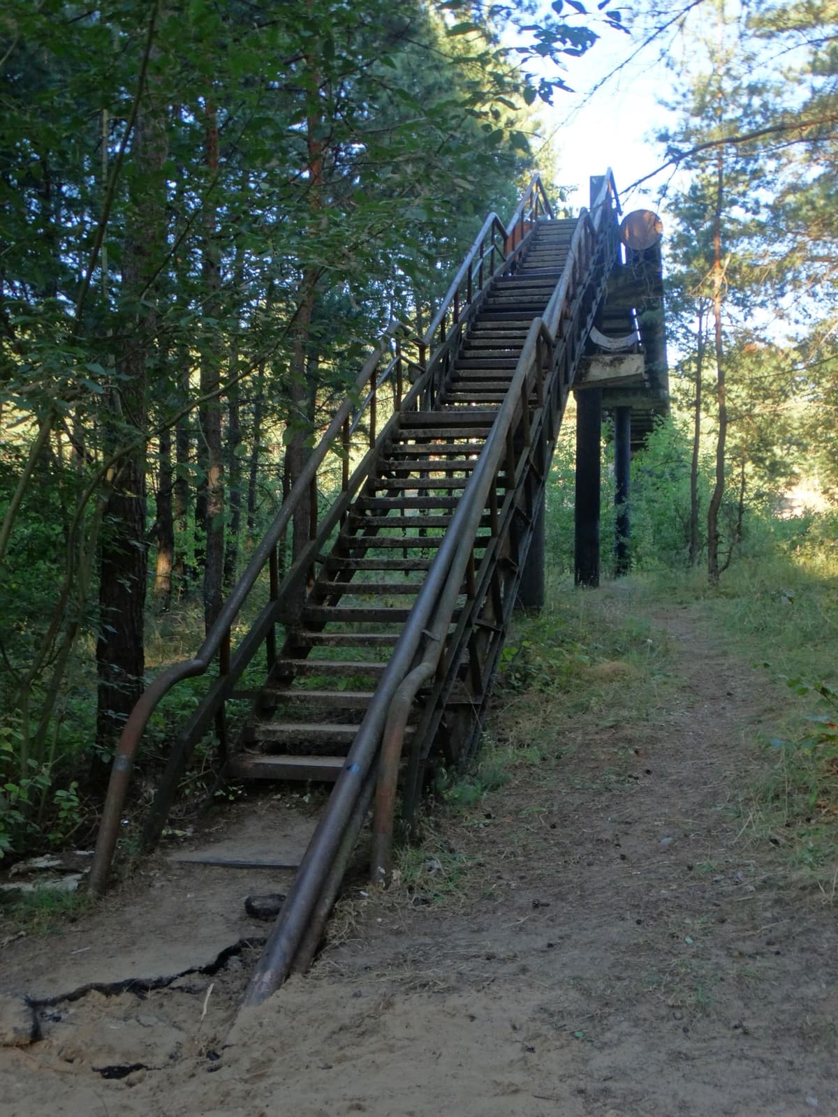Steep metal steps climbing to a pipe bridge among pine trees