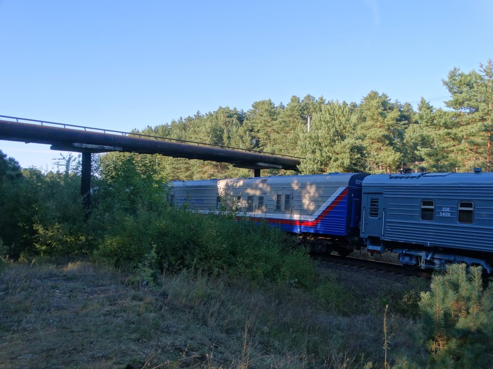 A long pipe bridge over a railway with blue passenger carriages below, pine trees behind