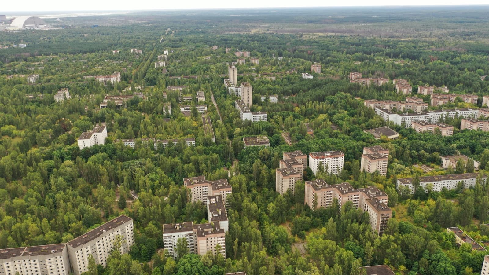 Abandoned apartment blocks swallowed by forest