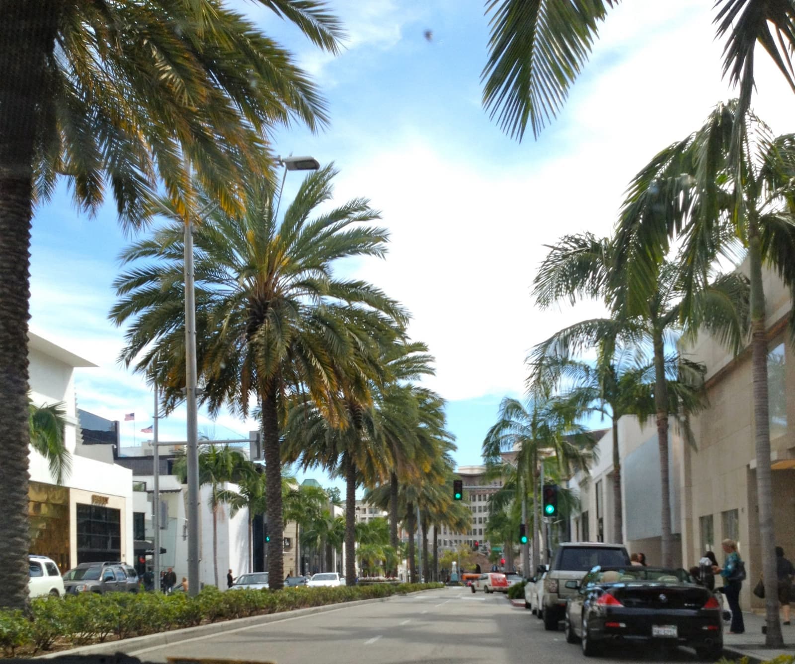 Tall palm trees lining Rodeo Drive in Beverly Hills
