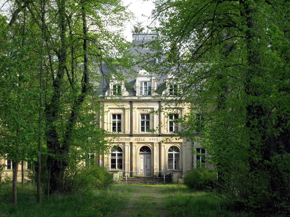 A pale nineteenth-century château glimpsed through a dark green avenue of trees