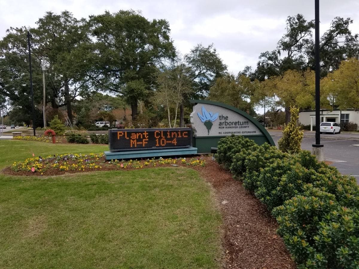 A garden path and planting at the New Hanover County Arboretum