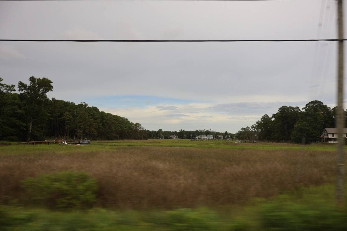 Marsh grass and open water on Hewletts Creek