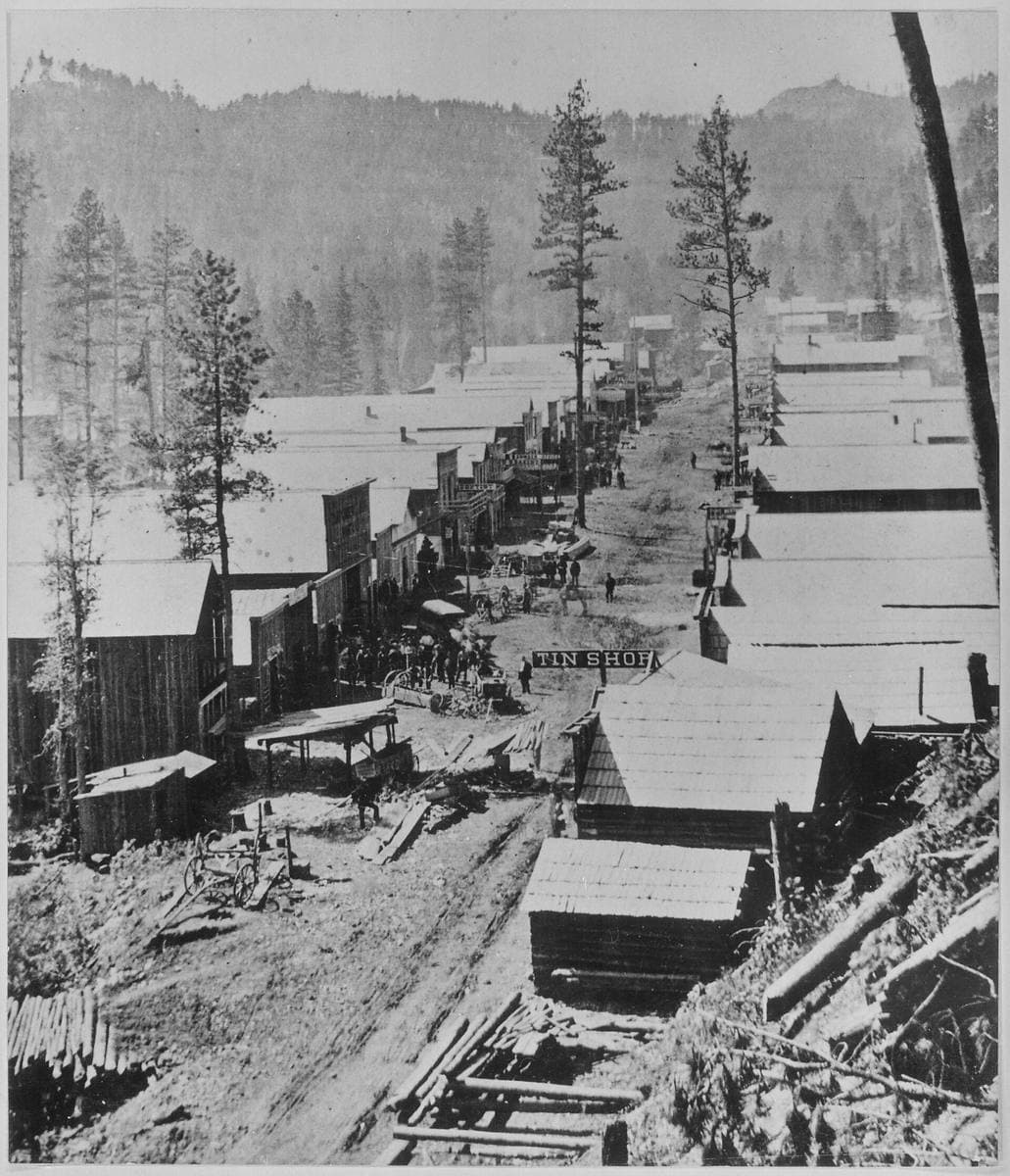 A long street of wooden cabins running down a wooded gulch in 1876