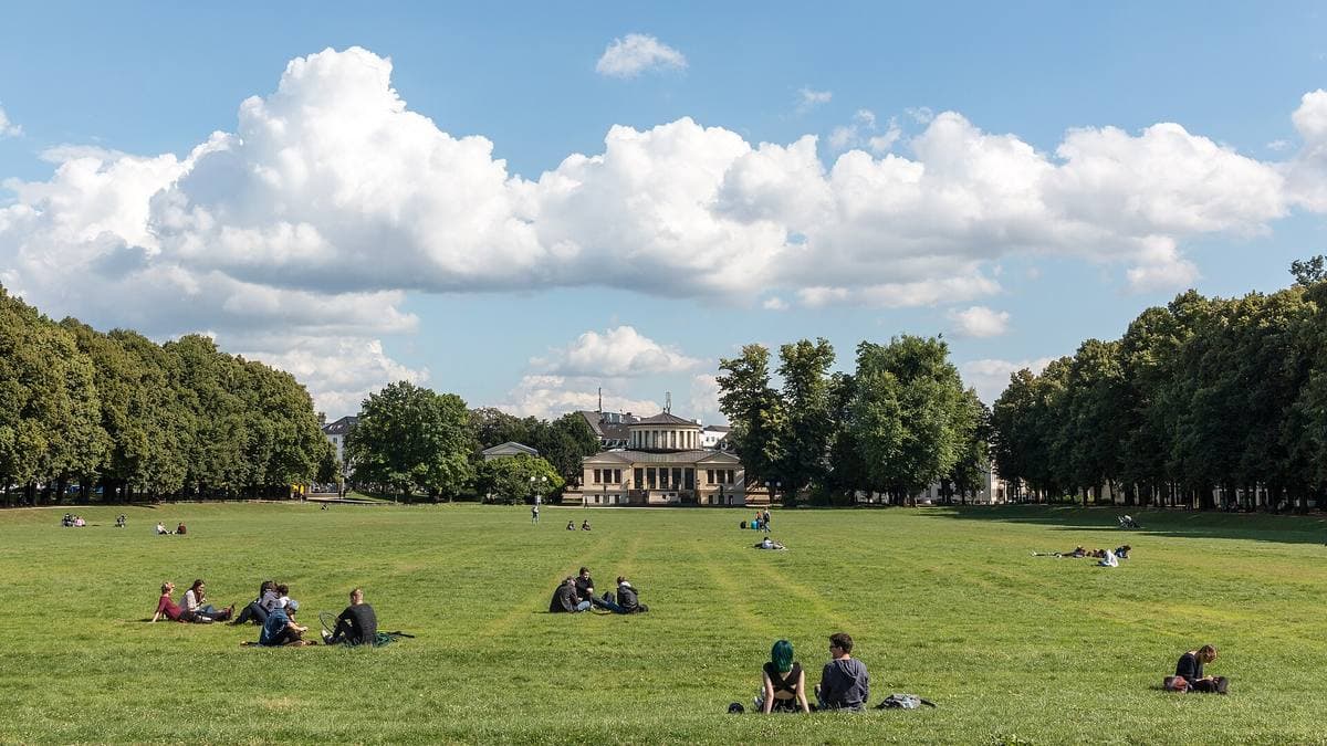 People on a wide lawn under trees with a classical building beyond