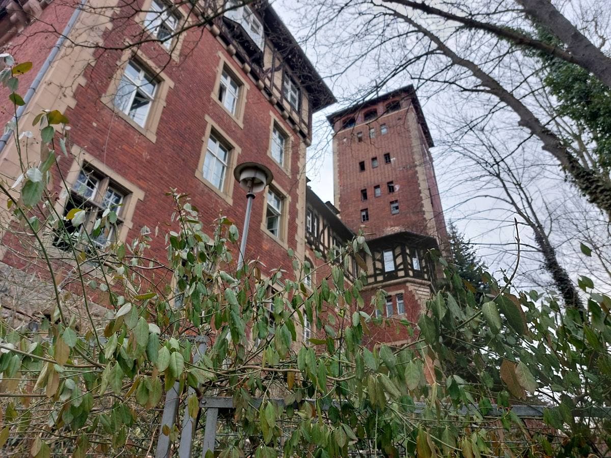 Red-brick wings and a square tower among bare trees