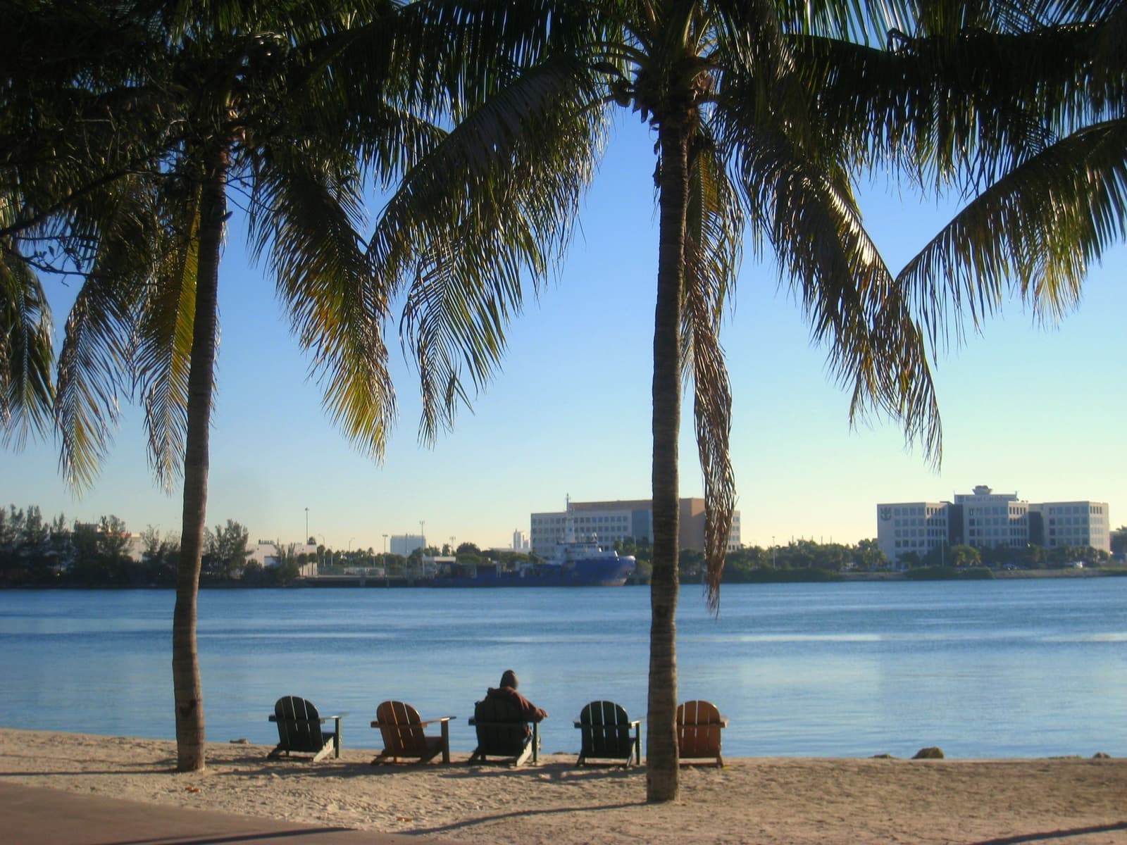 Palm trees and beach chairs on a small bayside beach in Miami