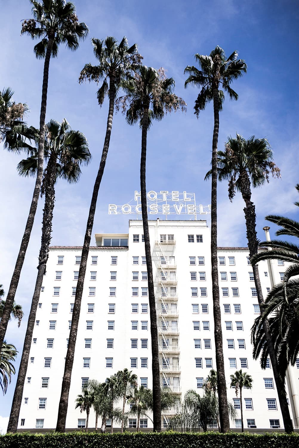 A tall white hotel tower with its rooftop sign between palm trees