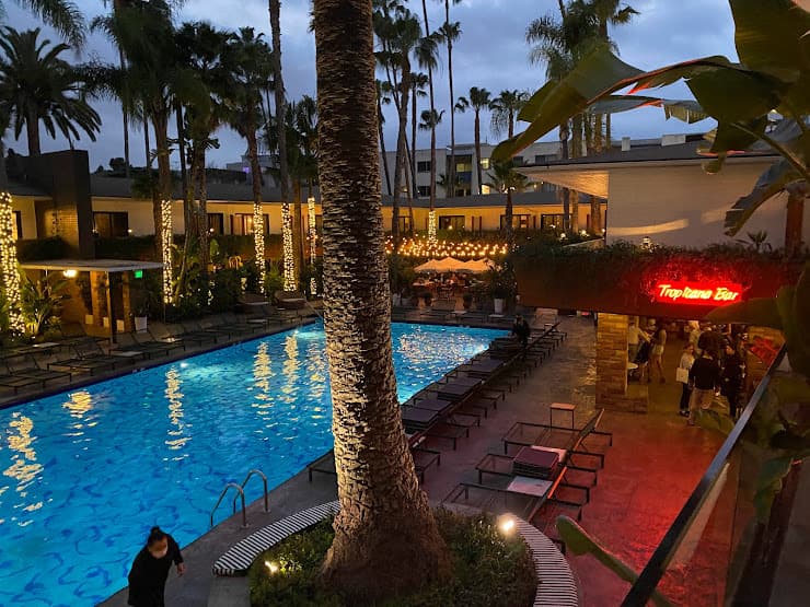 A lit swimming pool at dusk with a bar under palms