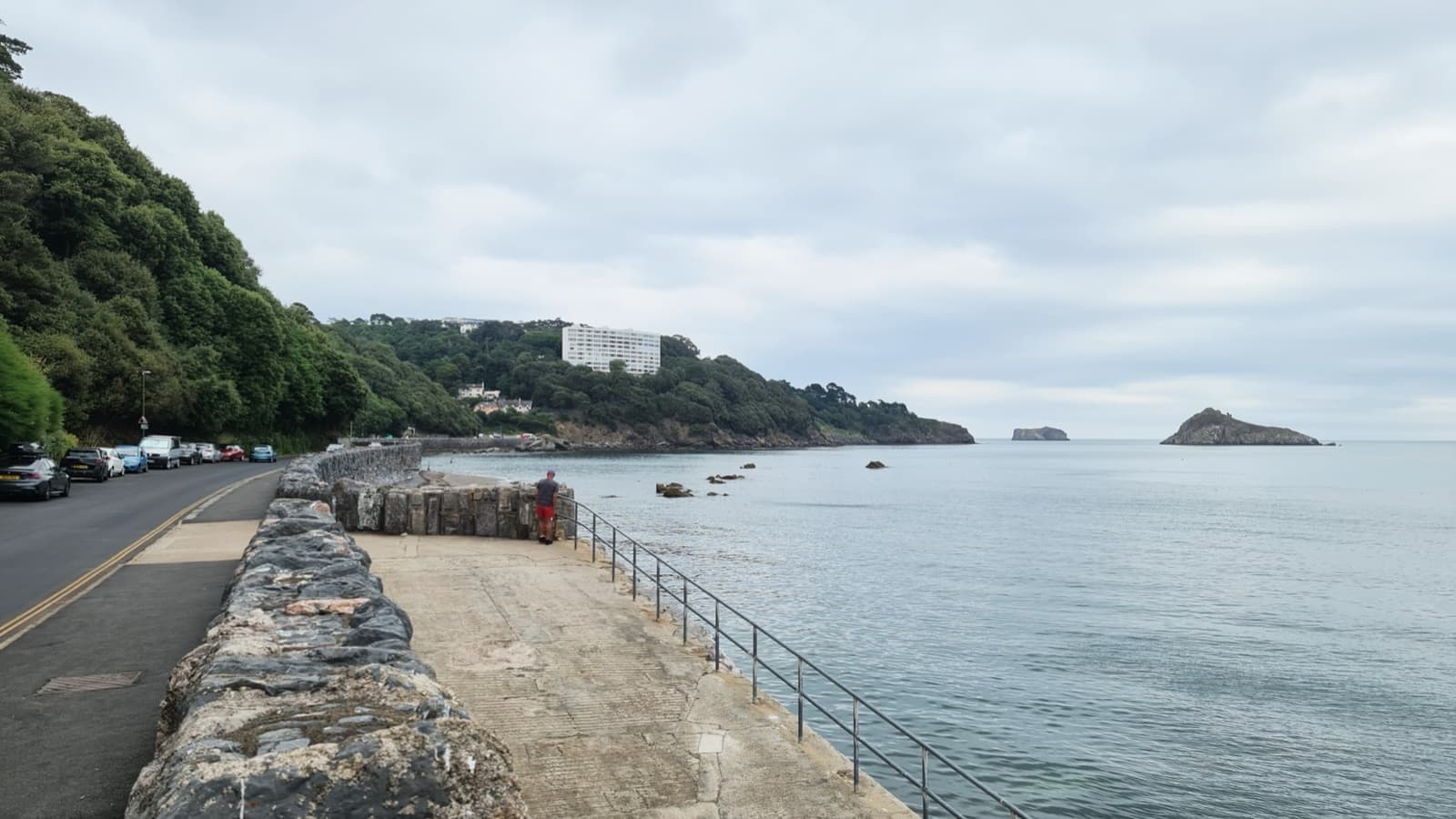 Meadfoot Beach curving below green slopes