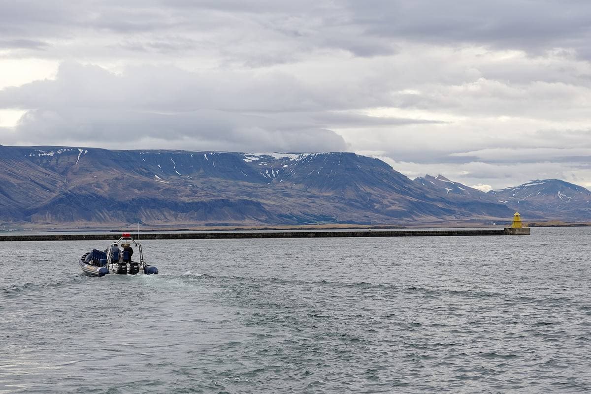 A long flat-topped mountain streaked with snow across a calm grey bay