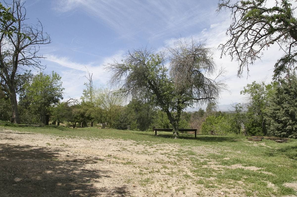 A shady park lawn with trees in Newhall