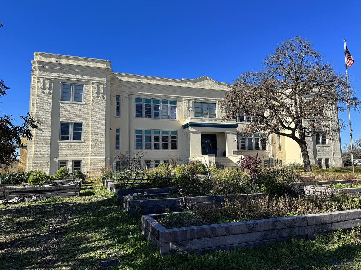 A pale three-storey early-twentieth-century school building behind raised garden beds