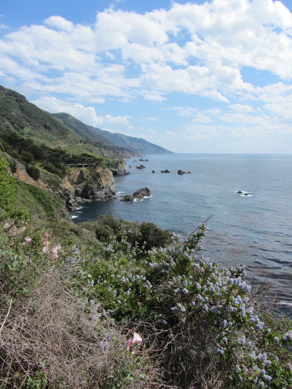 Green cliffs dropping to the Pacific along the Big Sur coast