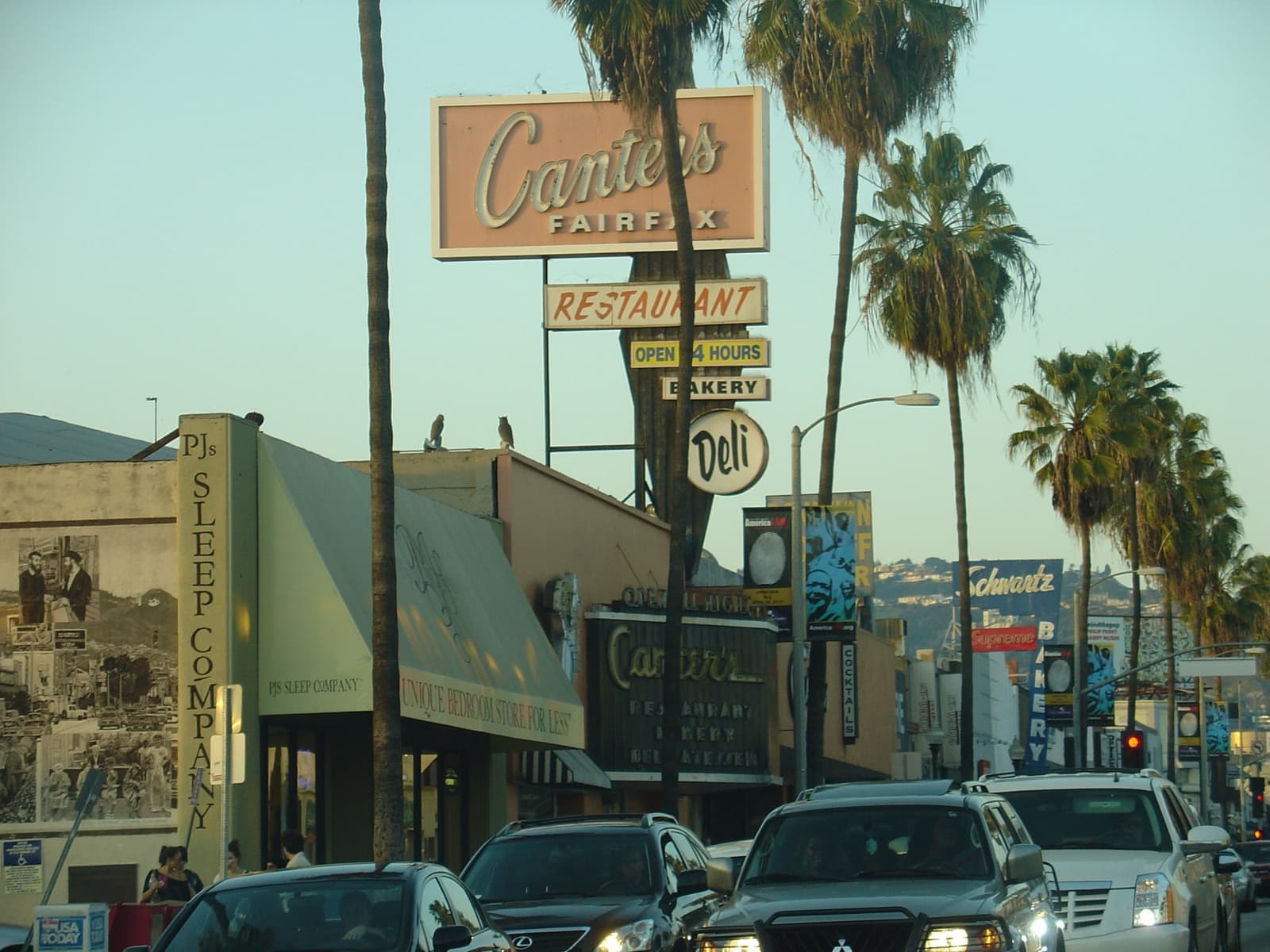 The Canter’s sign over Fairfax Avenue under palm trees