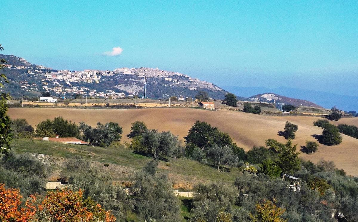 A long hill with a village along its crest, olive trees and dry fields in front