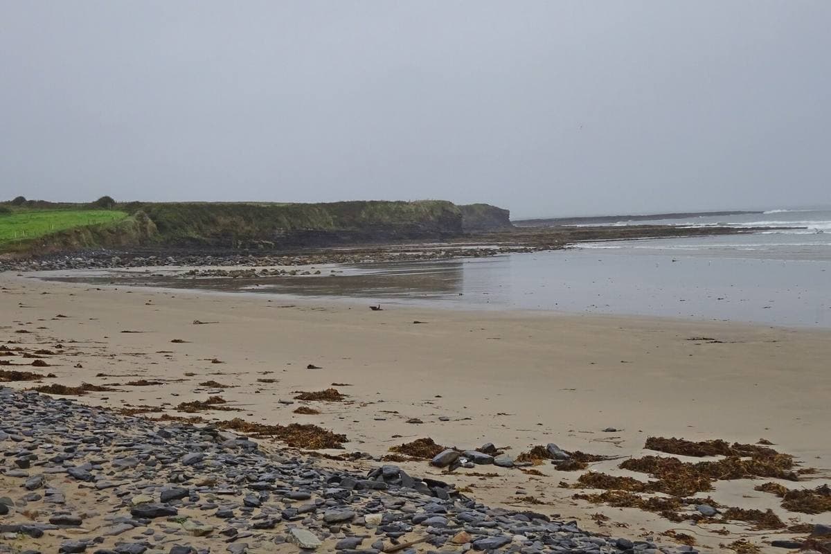 A wide grey-gold beach with stones at the tideline and low green cliffs at the far end