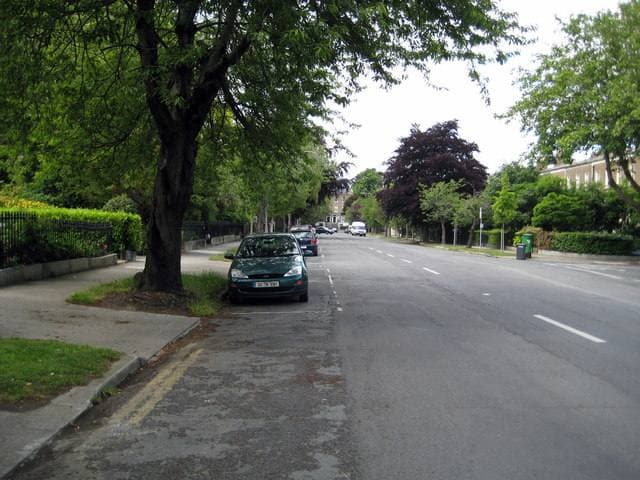 A wide tree-lined suburban road with parked cars and red-brick houses behind hedges