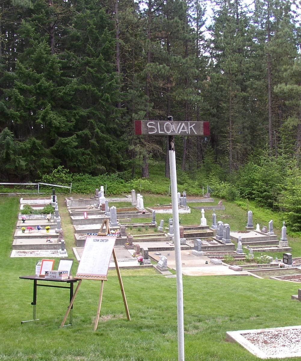 Rows of white headstones in a mown clearing among pine trees, with a sign reading Slovak